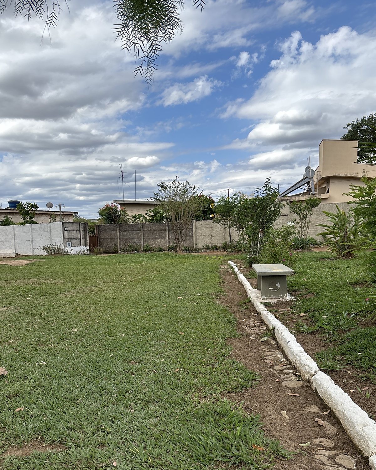 Antes: vegetação rasteira em toda a área tratada