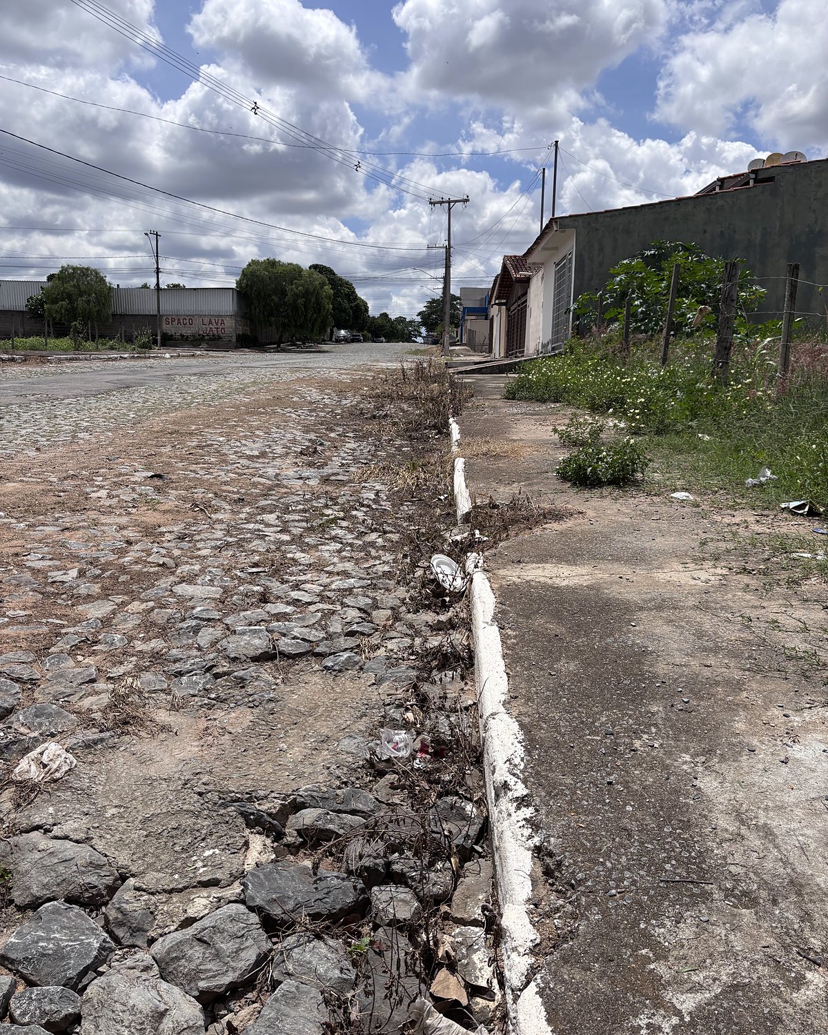 Depois: a mesma área com a vegetação seca após a capina elétrica.