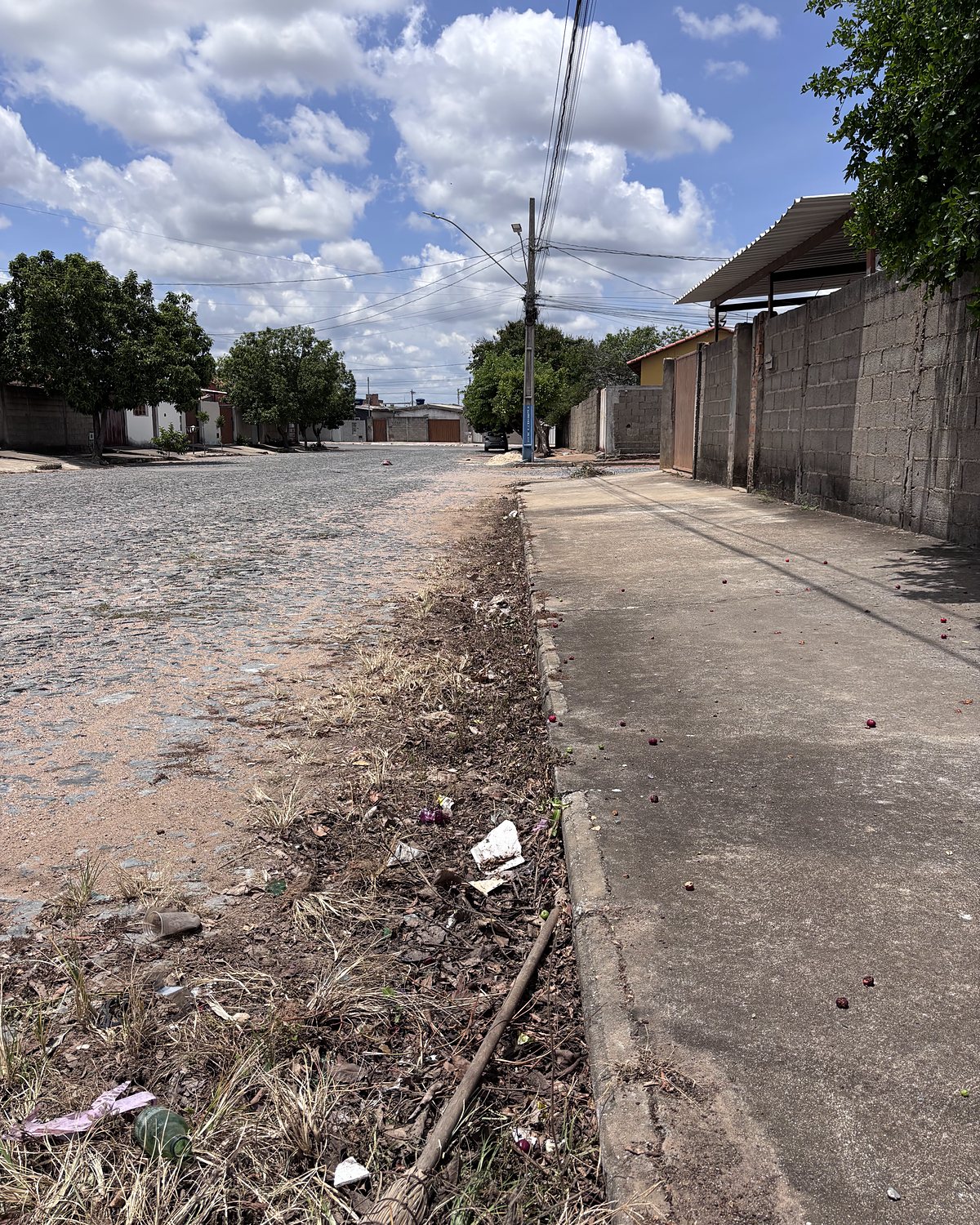 Depois: a mesma área com a vegetação seca após a capina elétrica.