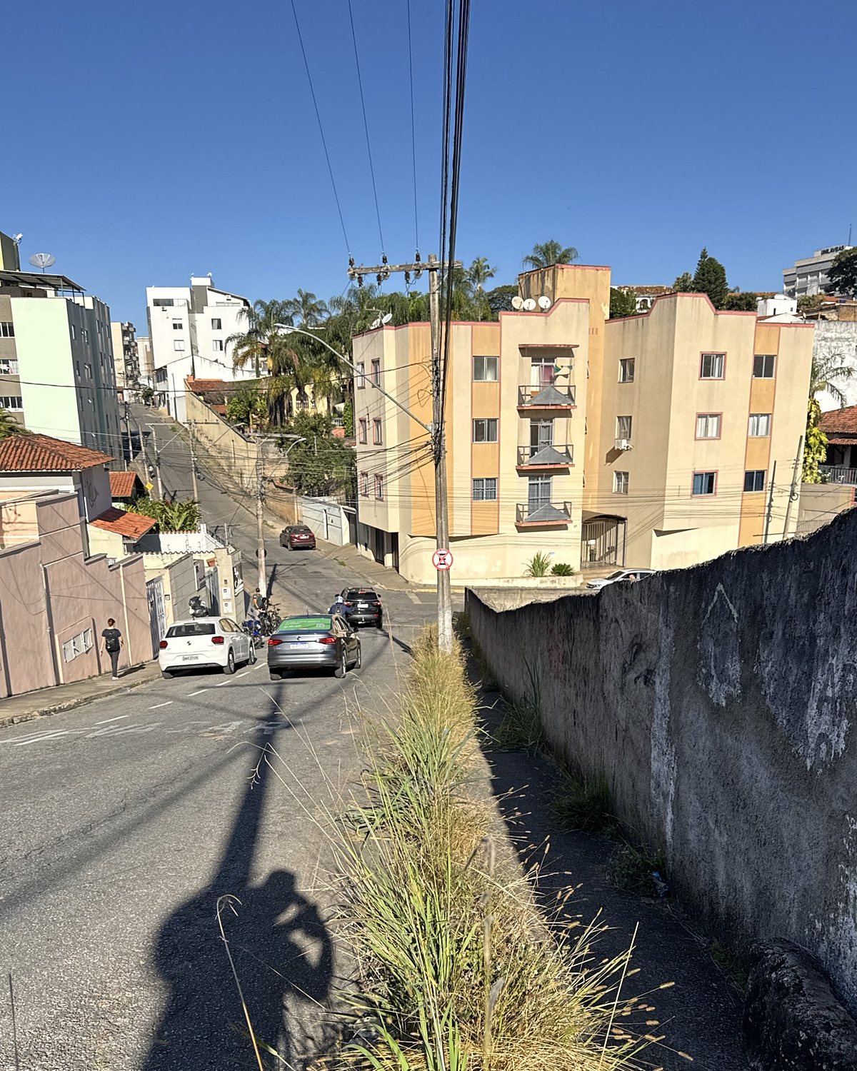 Antes: capim alto entre a rua asfaltada e a calçada