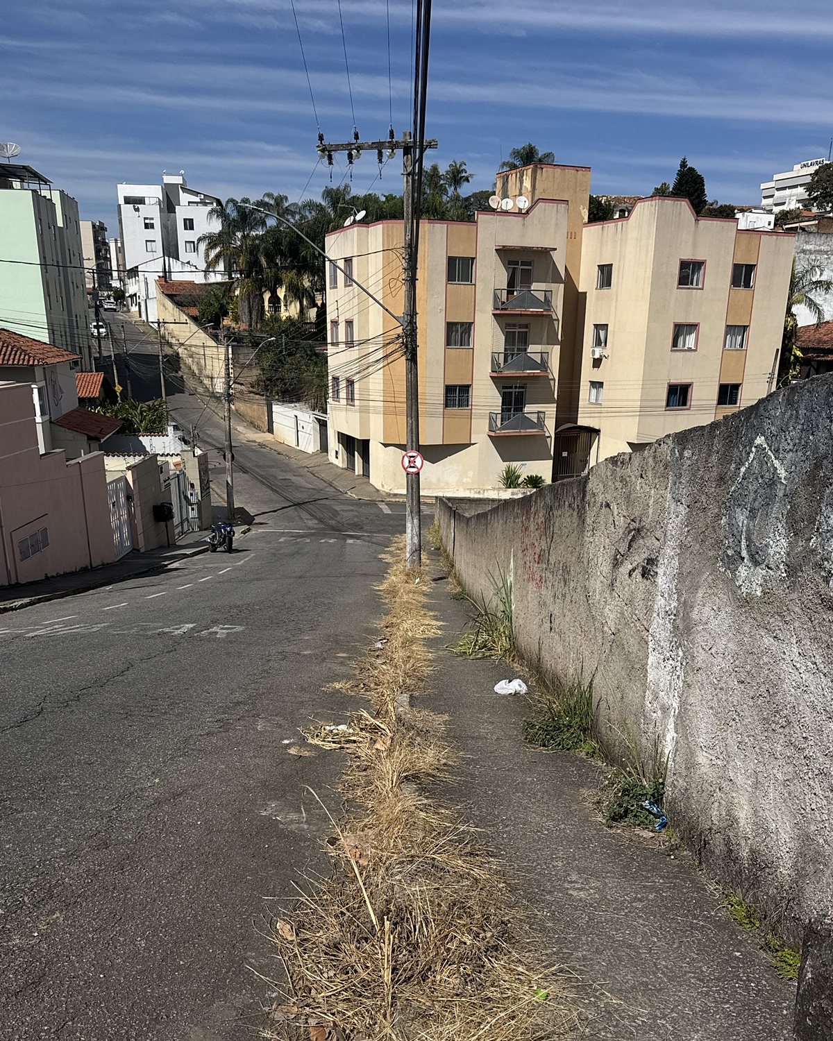 Depois: a mesma área com a vegetação seca após a capina elétrica.